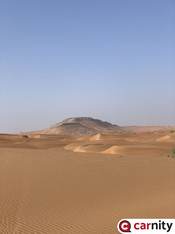 4756300C-580D-46BD-AC57-723641B04F8F.jpeg