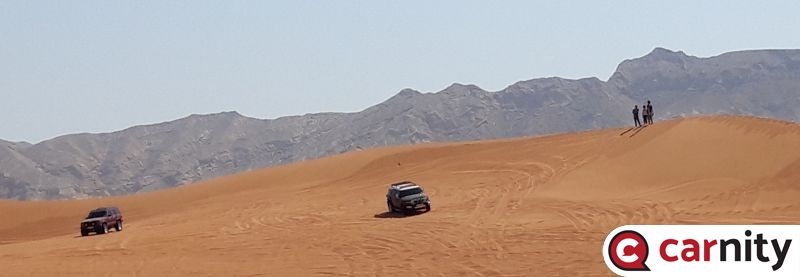 20220924_155258.jpg