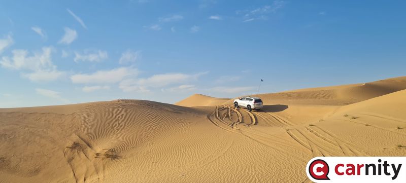 IMG_COM_20221126_1904_57_19219.jpg