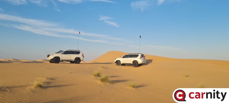 IMG_COM_20221126_1904_57_19223.jpg