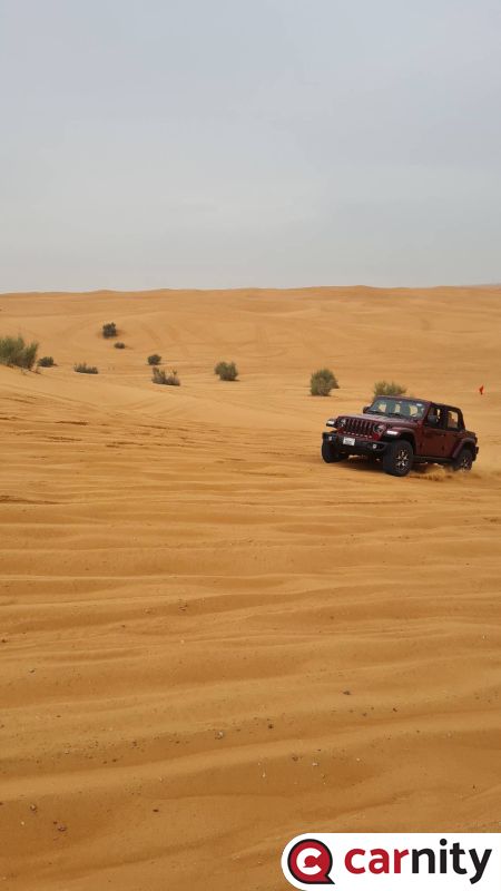 IMG_COM_20230107_1716_14_2370.jpg