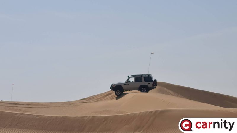 IMG_COM_20230225_1821_01_7442.jpg
