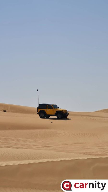IMG_COM_20230225_1821_01_74524.jpg
