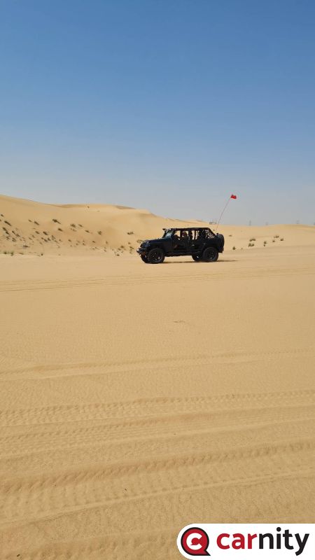 IMG_COM_20230225_1821_01_7453.jpg