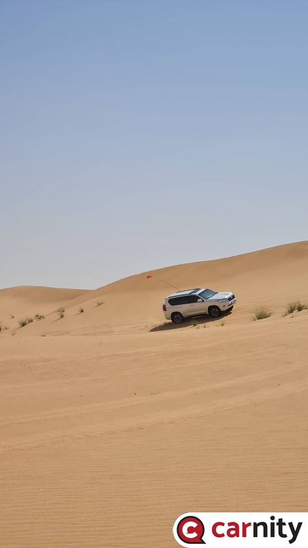IMG_COM_20230225_1821_01_7457.jpg