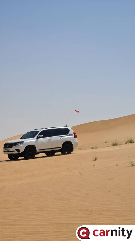 IMG_COM_20230225_1821_01_7459.jpg