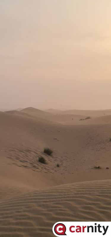 20230304_071020.jpg