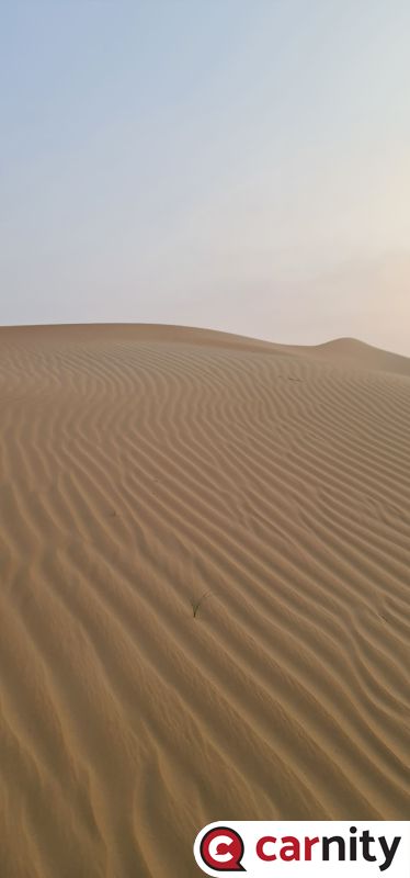 20230304_071311.jpg