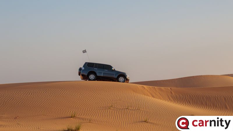 IMG_2939.jpg