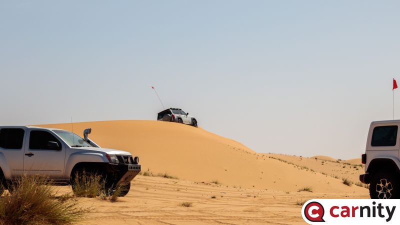 IMG_2965.jpg