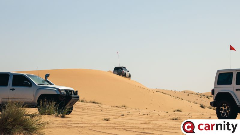 IMG_2966.jpg
