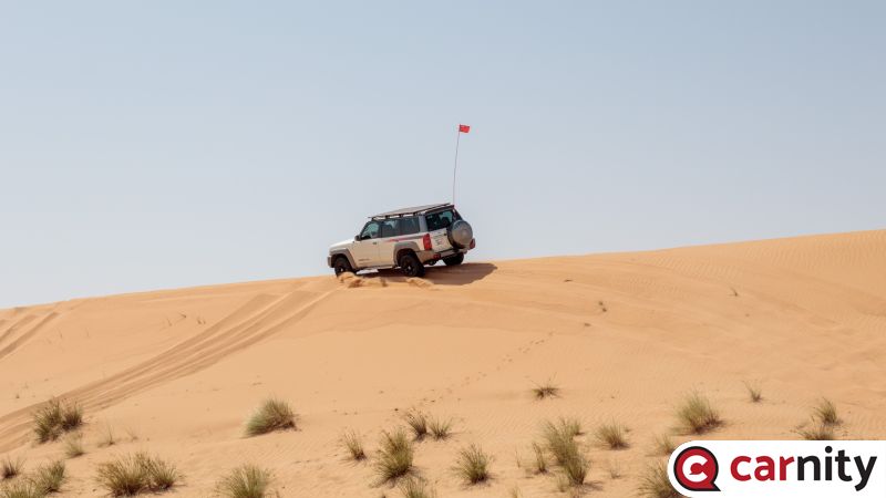 IMG_2999.jpg