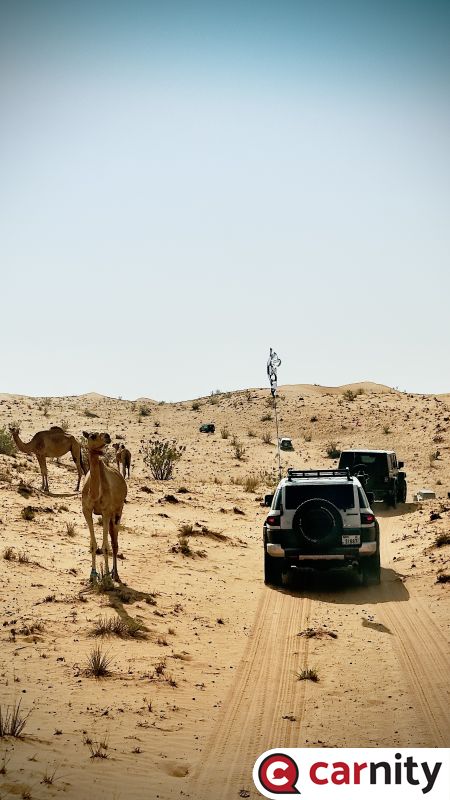 Newbie Desert Drive - Scenic Trails of the Three Emirates - Sharjah - 22th Oct 2023