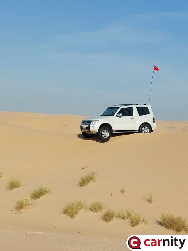 batch_20231111_084012~2.jpg
