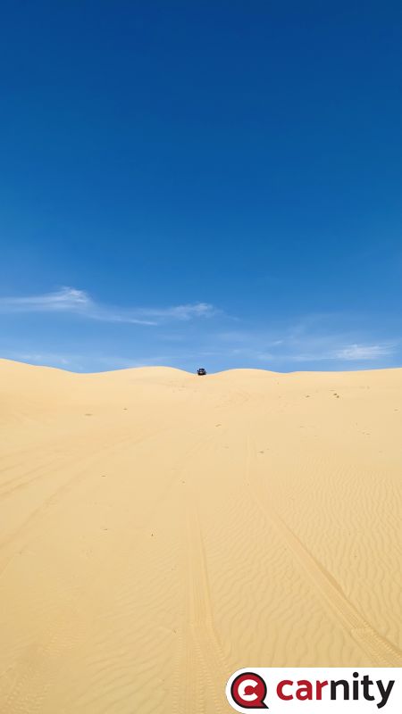 IMG_7975.jpeg