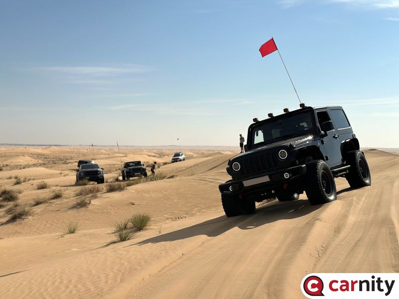 desert-newbie-20231111.jpg