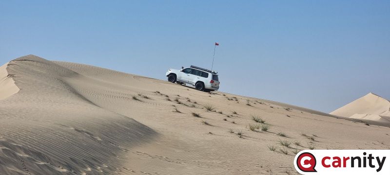 20231209_095801.jpg