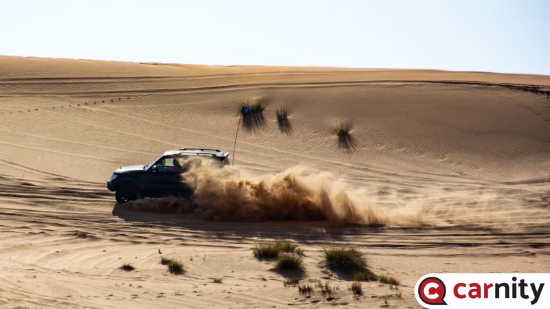 DSC_0283.jpg