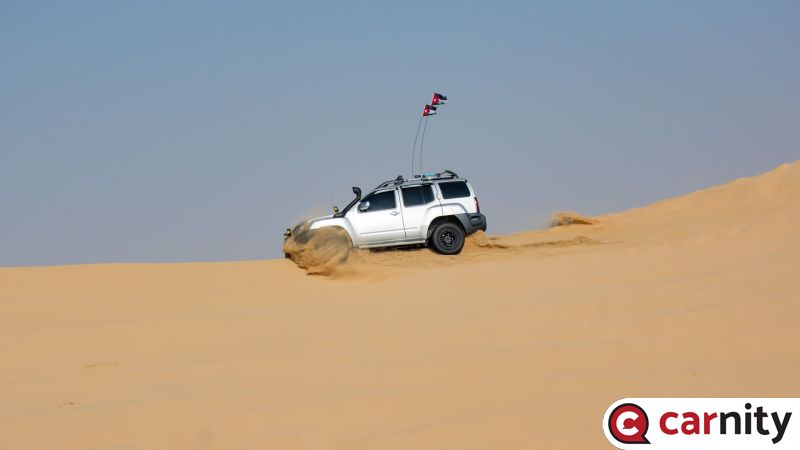 DSC_0894.jpg