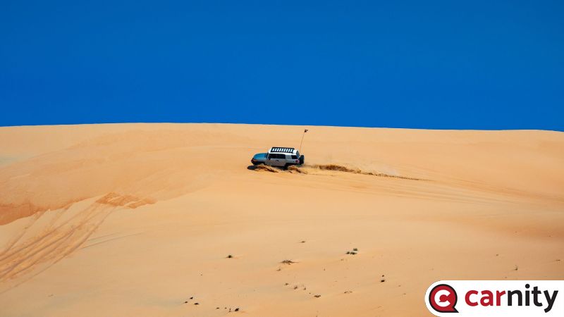 IMG_3334.jpg