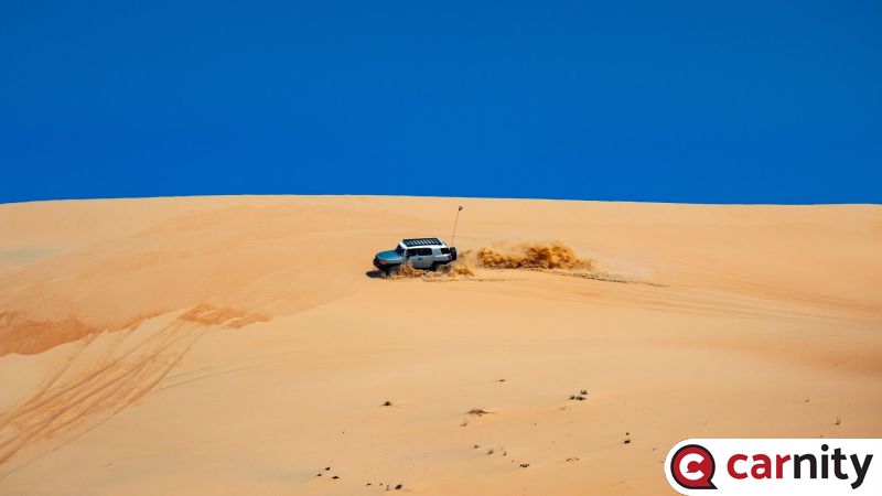 IMG_3335.jpg