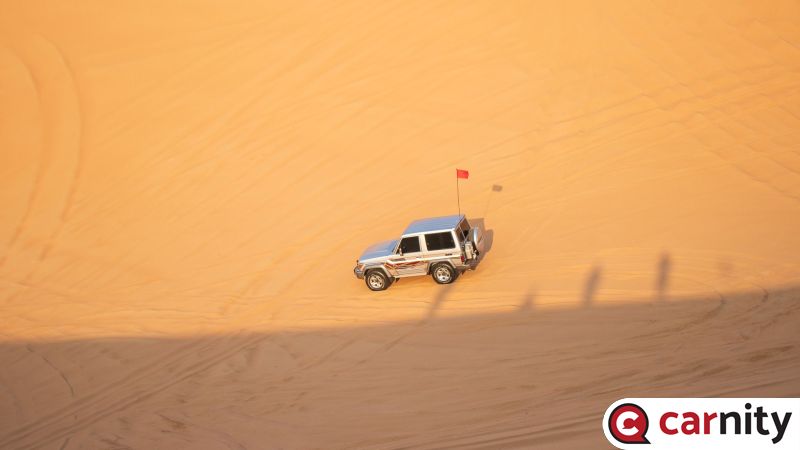 IMG_3447.jpg