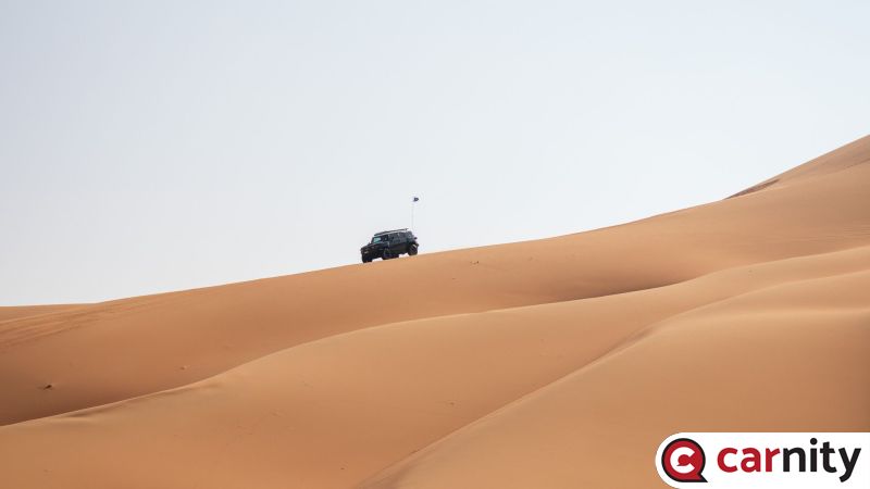 IMG_3484.jpg