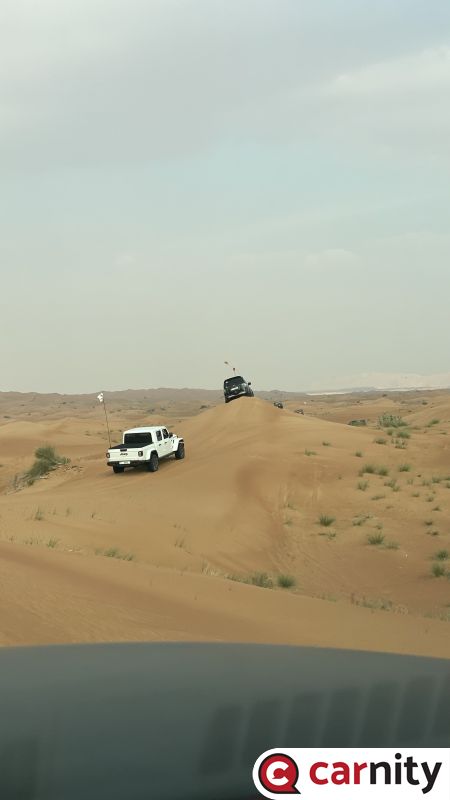 IMG_8784.jpeg