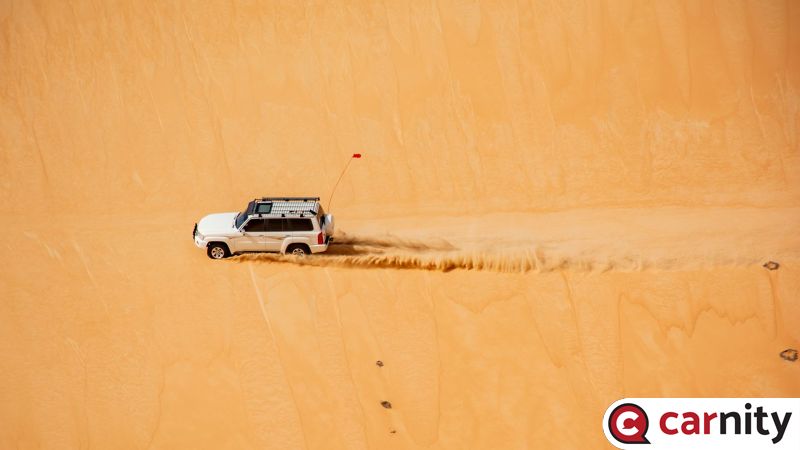 DSC_0811.jpg