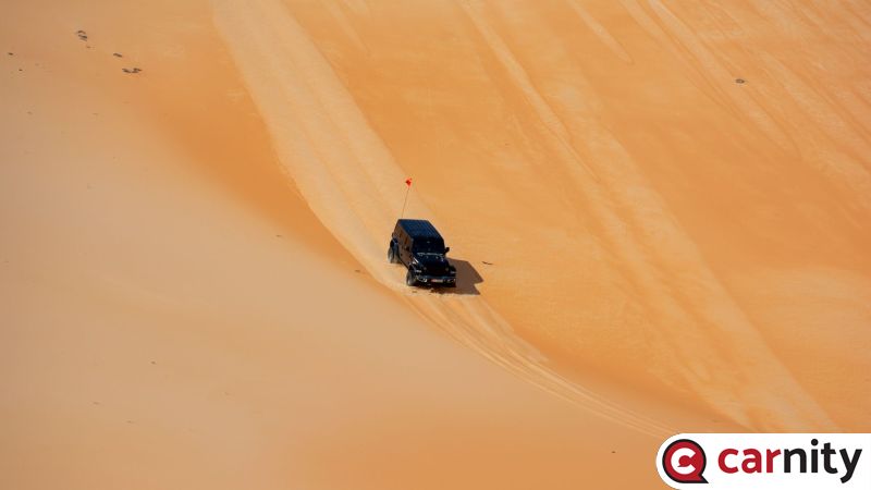 DSC_0908.jpg