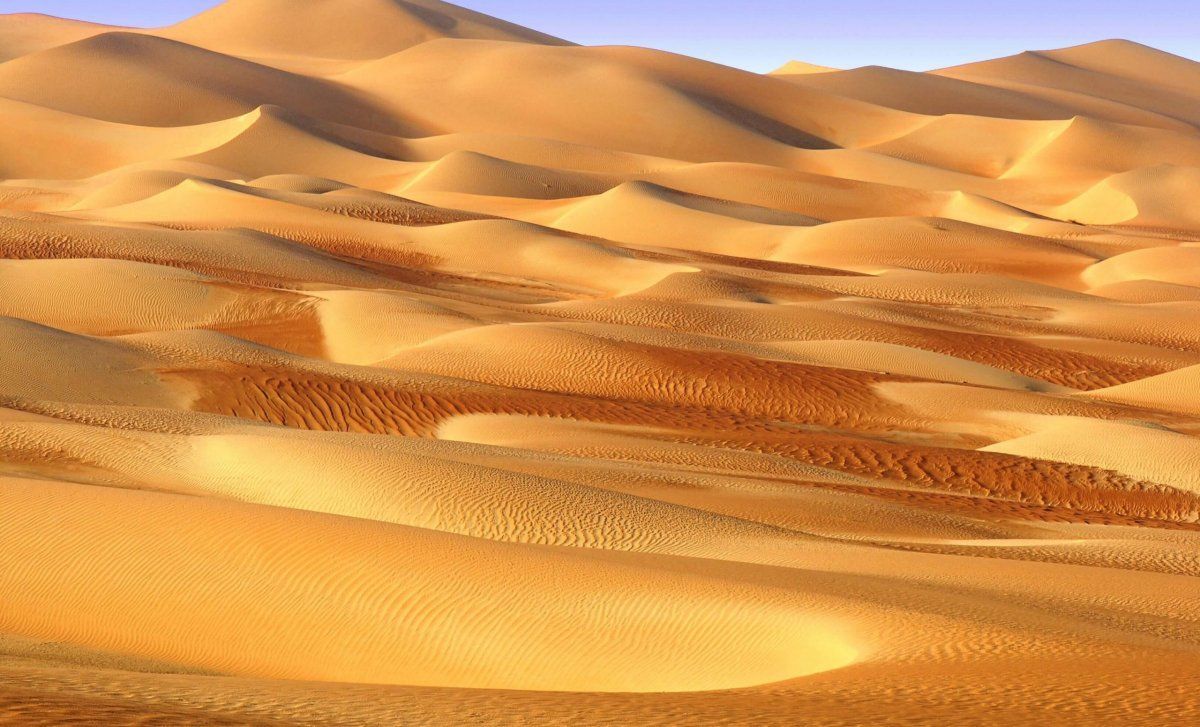 Fewbie Plus Desert Drive (2DAYS) - The Untamed Liwa with Gaurav Soni - Abu Dhabi - 02-03 March 2024