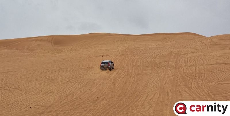 20240203_105030.jpg