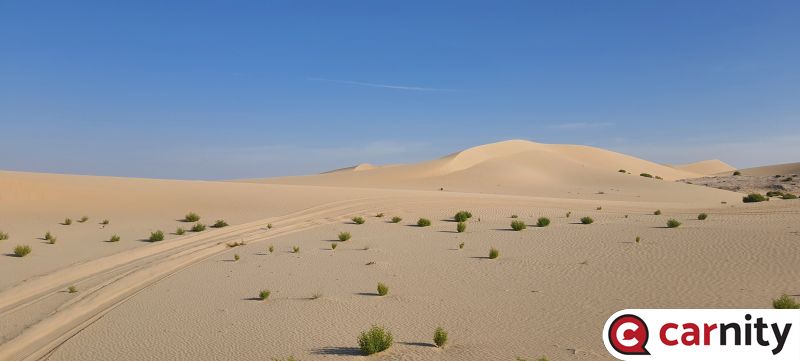20240210_084355.jpg