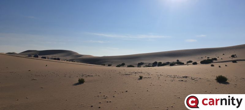 20240210_084415.jpg
