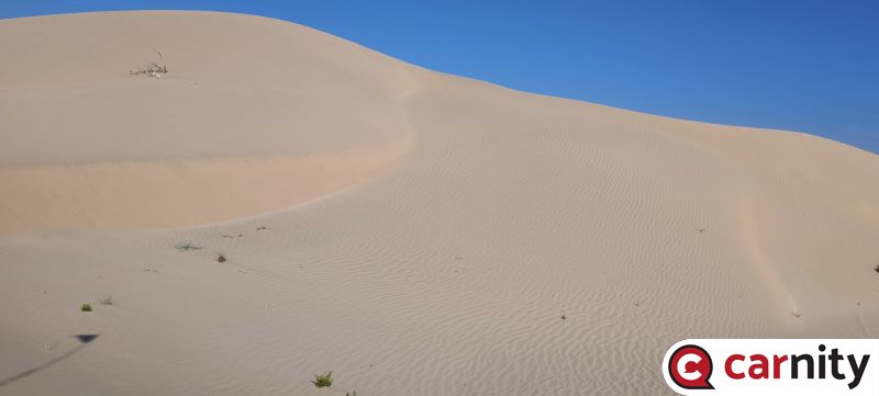 20240210_093730.jpg