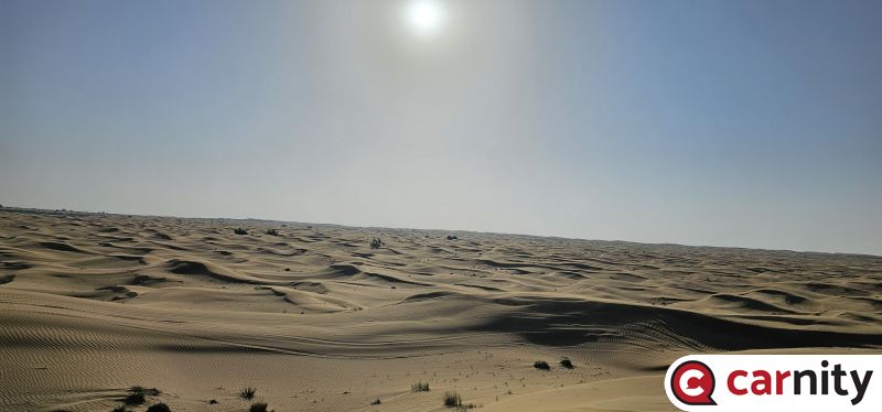 20240217_083110.jpg