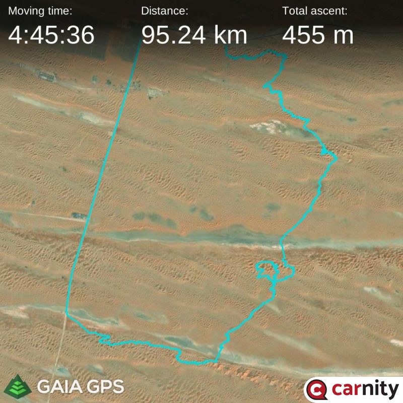 Full Day Fewbie Desert Drive - Bu Tais Tree Dune Exploration - Abu Dhab.jpg