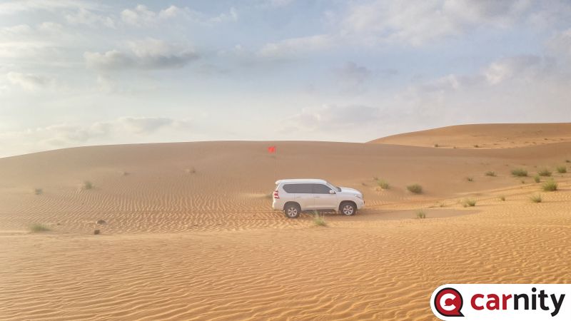 IMG_1518.jpeg