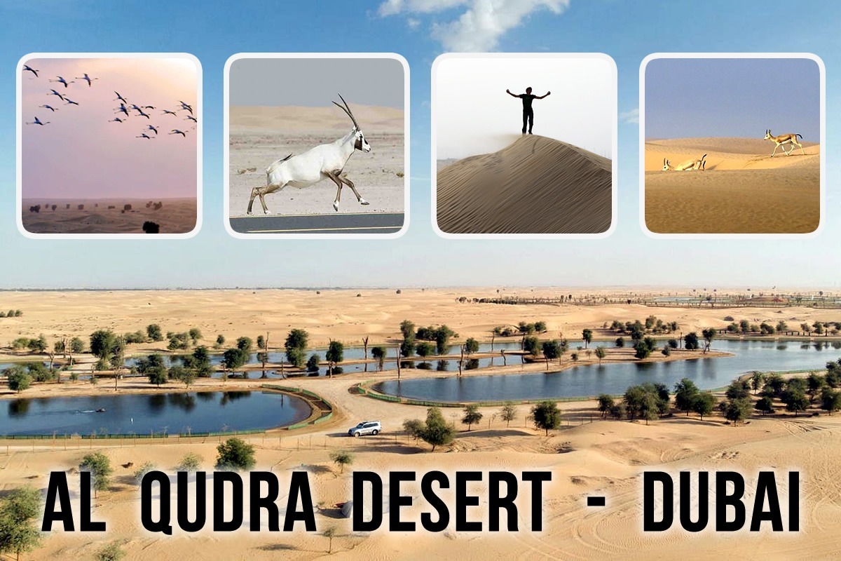 Al Qudra Desert.jpg