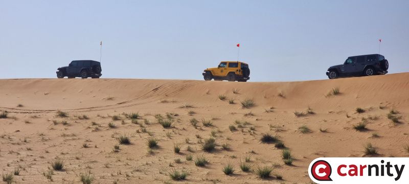 20240316_091125.jpg