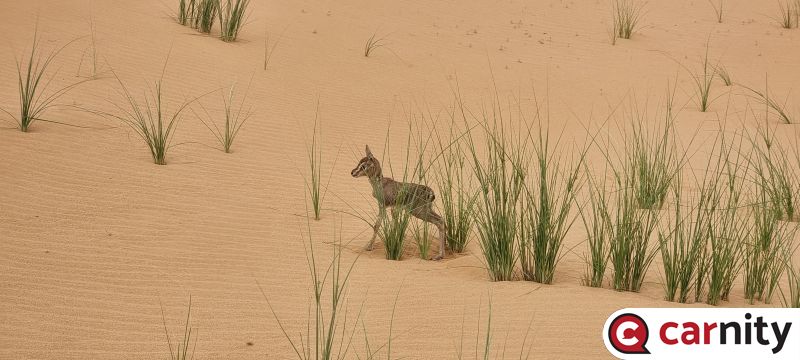 20240320_155118.jpg