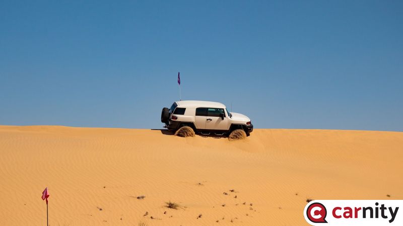 IMG_3667.jpg