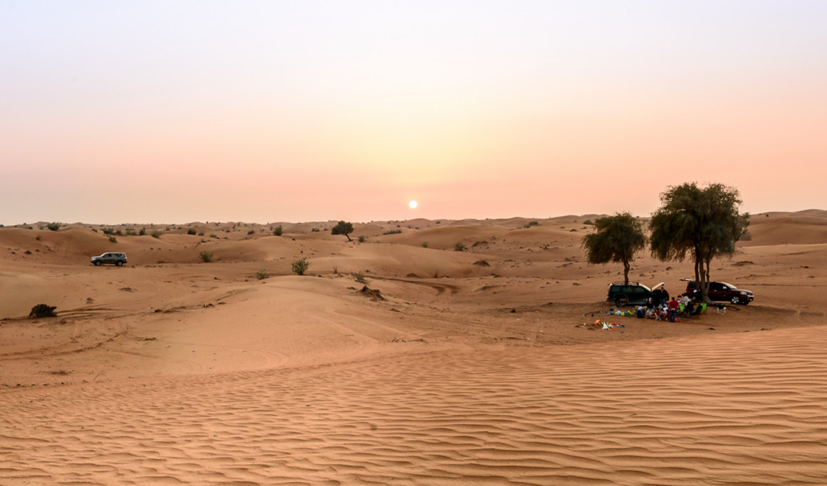 Morning Fewbie Desert Drive - Sweihan - Abu Dhabi - 27 Apr 2024