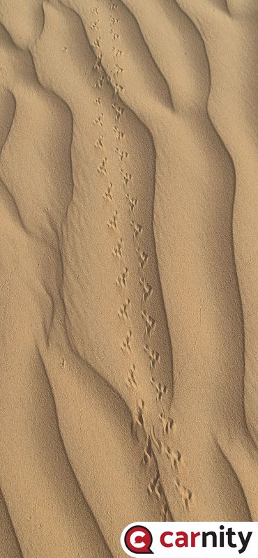 20240609_071438.jpg