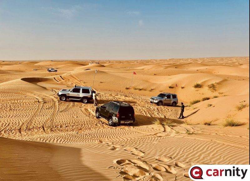 Newbie - Exploring Murquab - Dubai - 11 Aug 2024