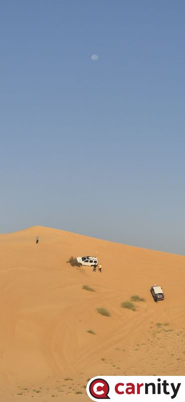 20240921_073817.jpg