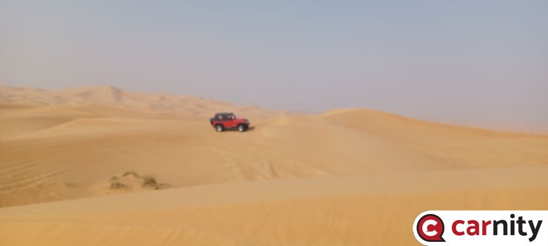 20240928_085053.jpg