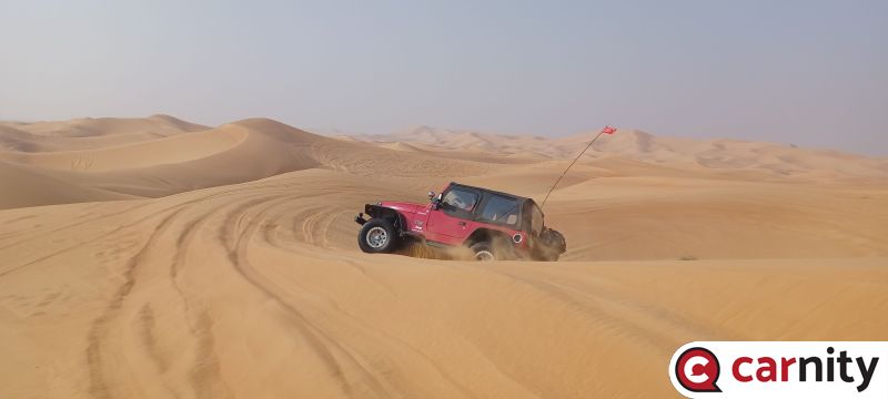 20240928_085103.jpg