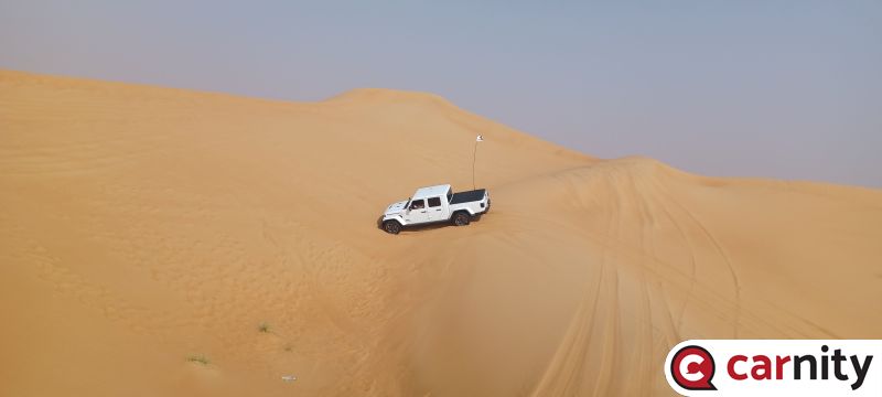 20240928_085536.jpg