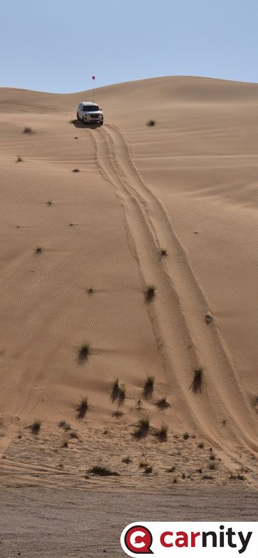20240928_092638.jpg
